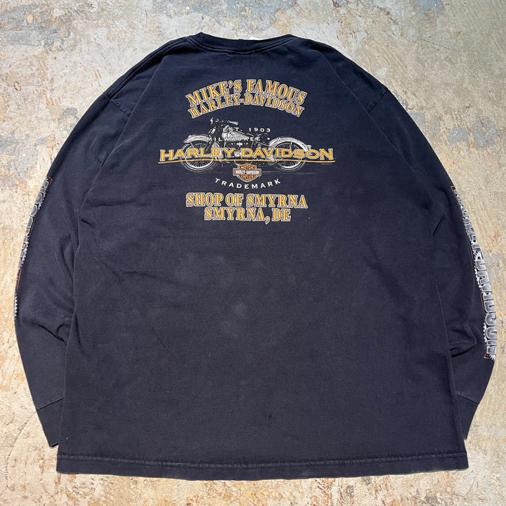 古着 USA製 Harley-Davidson/ハーレーダビッドソン/ プリントロングTシャツ/ サイズ2XL