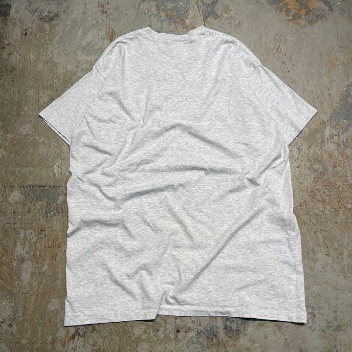#4713 古着 95's PATRIOTS ペイトリオッツ/DREW・BLEDSOE/ドリュー・ブレッドソー/ヴィンテージ シングルステッチ Tシャツ/NFL/サイズXL