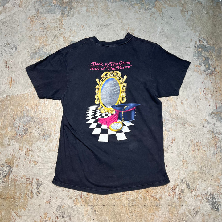 古着 USA製 90's~ ヘインズ / スティーヴィー・ニックス / ヴィンテージ シングルステッチ プリントTシャツ/サイズL