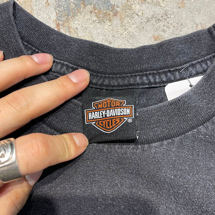 古着 USA製 Harley-Davidson/ハーレー ダビッドソン / フロリダ州パナマ・シティ・ビーチ ストア/ プリントTシャツ / サイズL相当