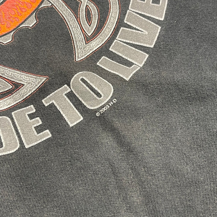 Used clothing Made in USA Harley-Davidson / France Biarletts Store / Printed T-shirt / Size XL