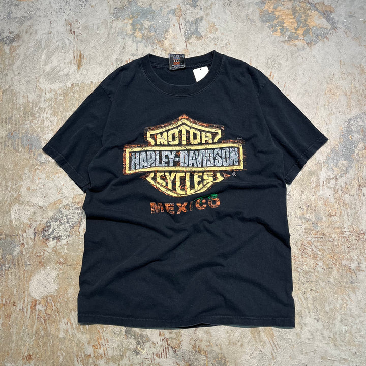 古着Harley-Davidson/ハーレー ダビッドソン/リビエラ・マヤ/メキシコ/プリントTシャツ サイズM相当