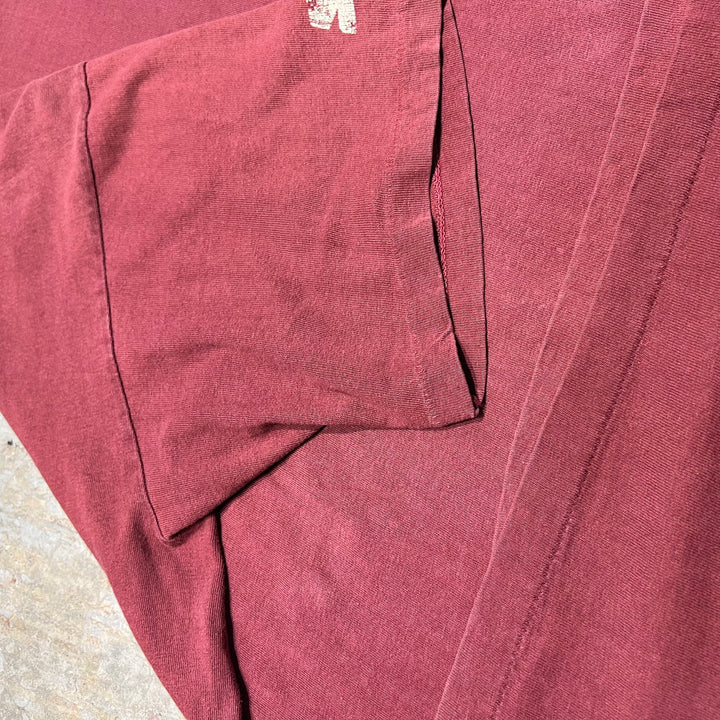 古着 USA製 90's starter/スターター / ワシントン・レッドスキンズ / ヴィンテージ シングルステッチ プリントTシャツ/サイズL