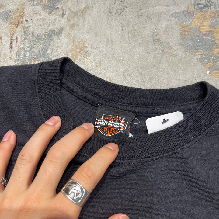 古着 Harley-Davidson/ハーレーダビッドソン/ST.THOMAS/プリントTシャツ/サイズL