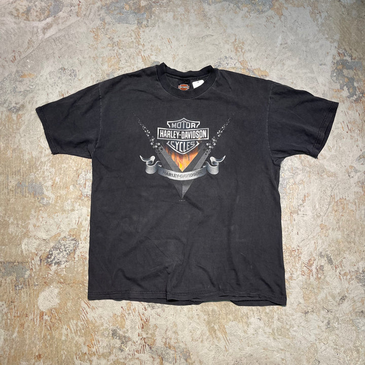 古着 99's USA製 Harley-Davidson/ハーレー ダビッドソン / CRUISING THE CHESAPEAKE REGION / メリーランド州ボルチモアストア / プリントTシャツ / サイズM