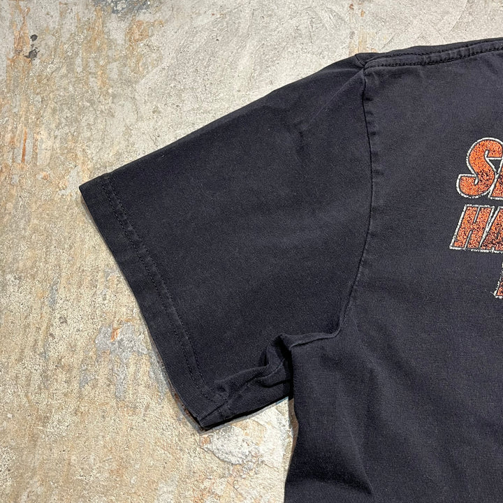 古着Harley-Davidson/ハーレー ダビッドソン/スキップフォーダイス/RIVERSIDE,CA/プリントTシャツ/サイズXL