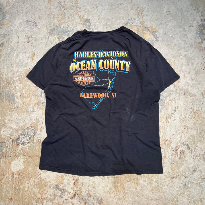 빈티지 할리 데이비슨 / 할리 데이비슨 / 레이크 우드, 새로운 Jeanjee / 인쇄 티셔츠 / 크기 XL