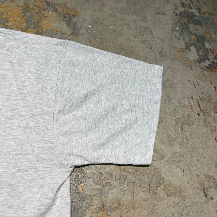 古着 90's フルーツオブザルーム/DUCK/鴨/アート/ヴィンテージ シングルステッチ プリントTシャツ/サイズL