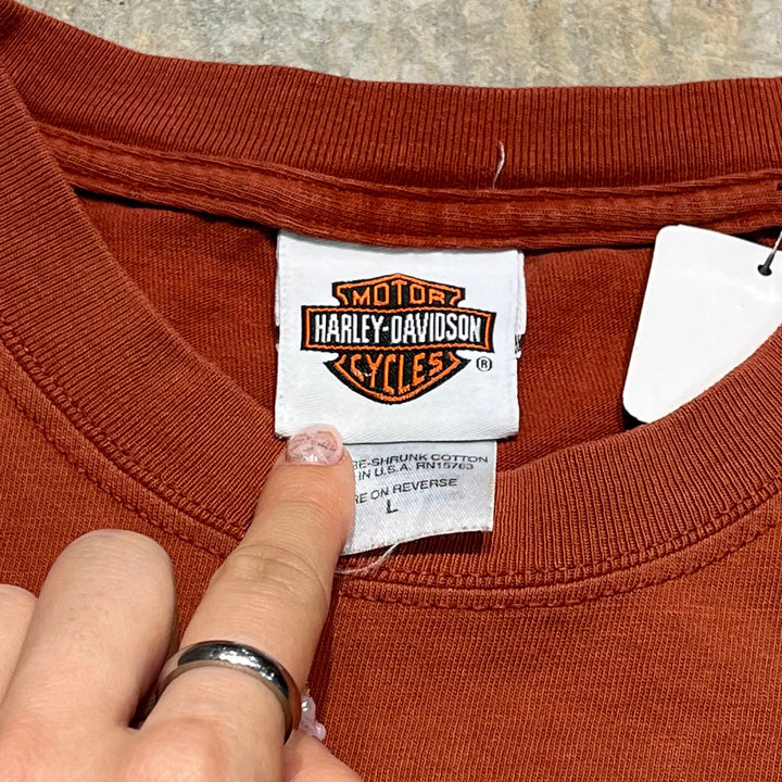 古着 USA製 Harley-Davidson/ハーレー ダビッドソン ワシントン州 ダウンタウン・シアトル プリントTシャツ サイズL