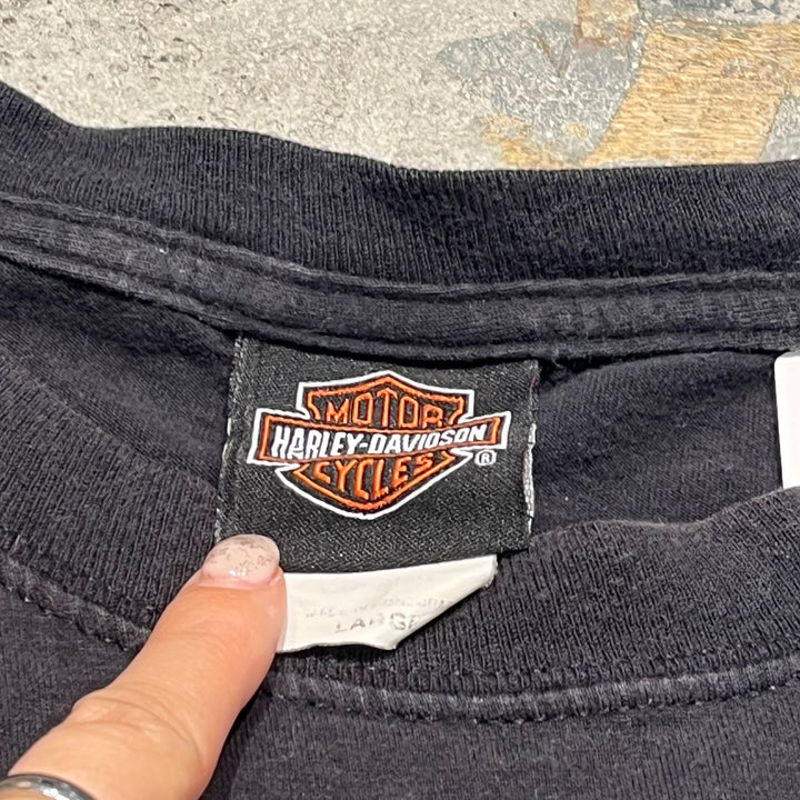 古着 Harley-Davidson/ハーレー ダビッドソン / ワーナーブラザーズ / コロラド州 グレンウッド・スプリングス ストア  / プリントTシャツ / サイズL相当