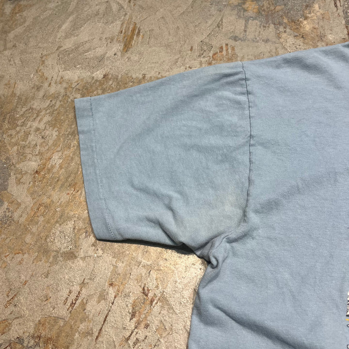 古着 96's アラスカのイディタロッド・トレイル犬ぞりレース/ヴィンテージ シングルステッチプリントTシャツ/サイズL相当