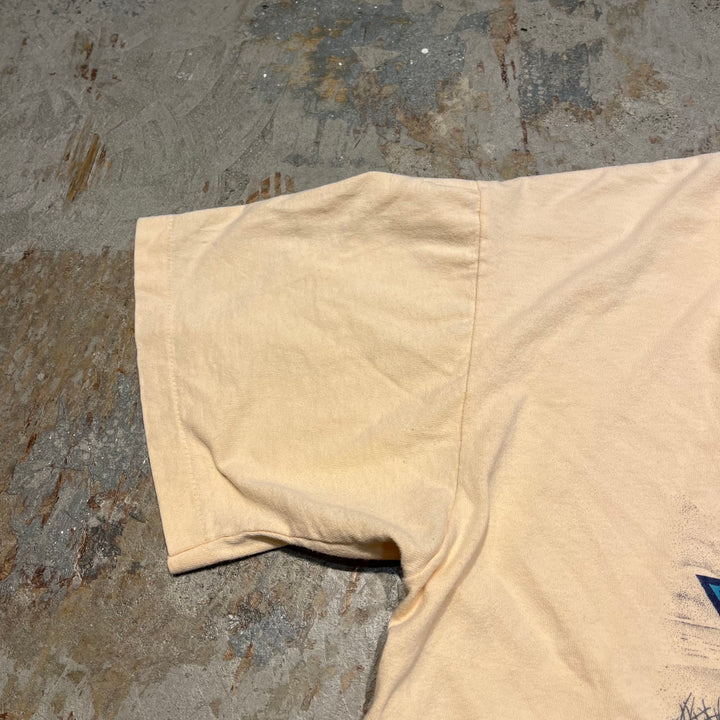 古着 USA製 アヴァロン 伝説の島/ニュー・ジャージー州/ヴィンテージ シングルステッチ プリントTシャツ / サイズXL