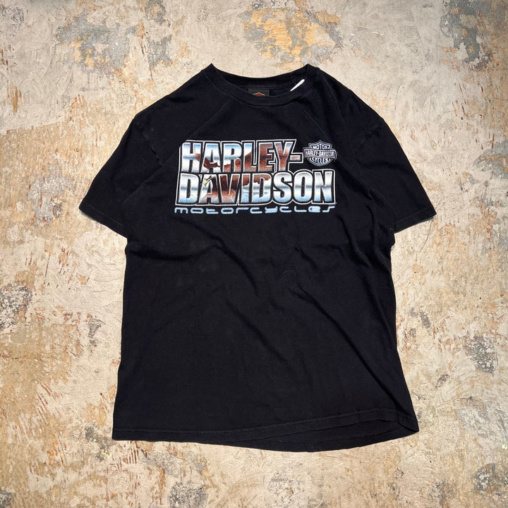 古着 Harley-Davidson  /ハーレー ダビッドソン / ノースカロライナ州 ナグス・ヘッド ストア / プリントTシャツ / サイズL