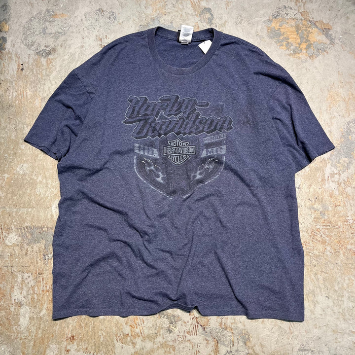 古着 Harley-Davidson/ハーレー ダビッドソン テキサス州 サン・ベニート /マッド ボア レストラン / プリントTシャツ サイズXXXL