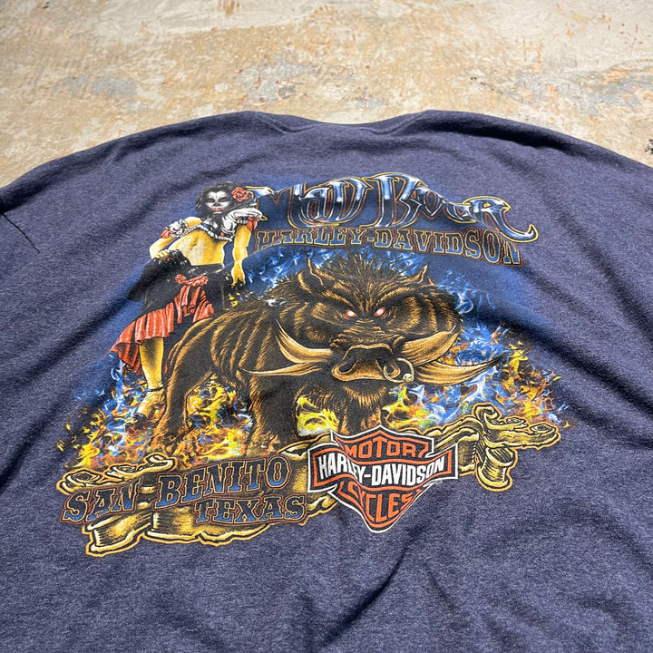 古着 Harley-Davidson/ハーレー ダビッドソン テキサス州 サン・ベニート /マッド ボア レストラン / プリントTシャツ サイズXXXL