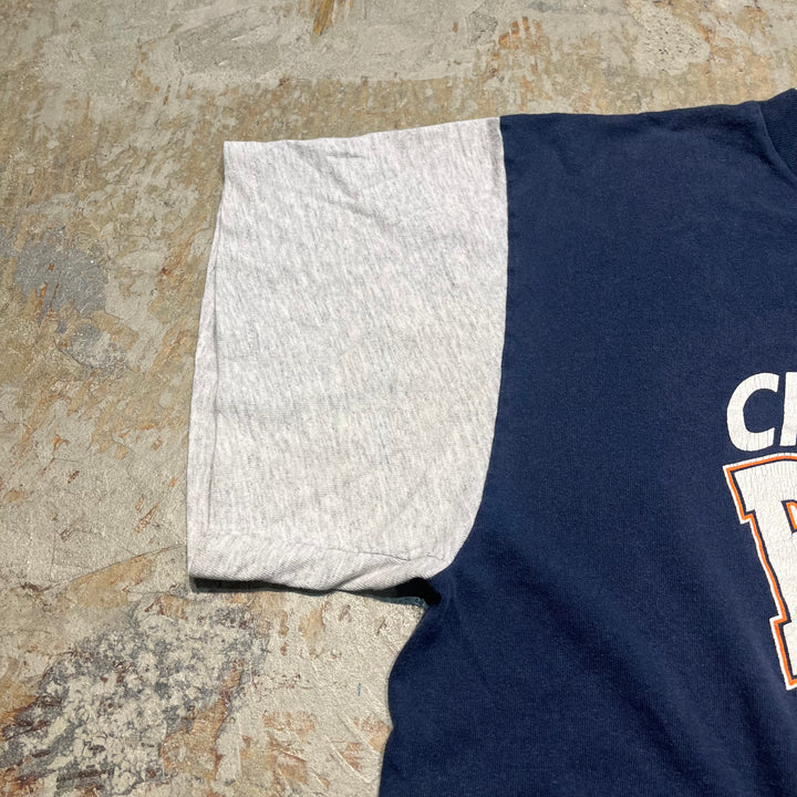 빈티지 Dazznian Devil/Chicago Bears/NFL/CSA/빈티지 싱글 스티치 프린트 티셔츠/크기 l