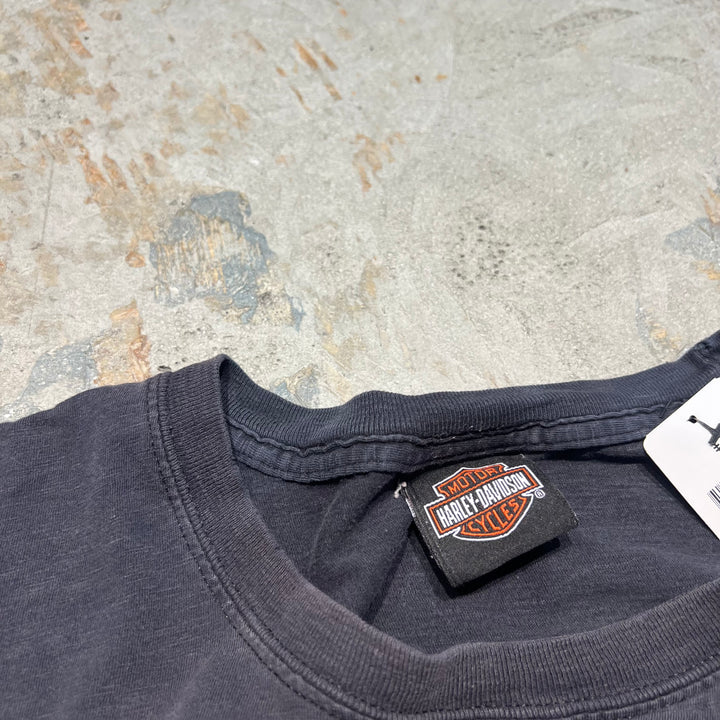 빈티지 할리 데이비슨 / 할리 데이비슨 / 레이크 우드, 새로운 Jeanjee / 인쇄 티셔츠 / 크기 XL