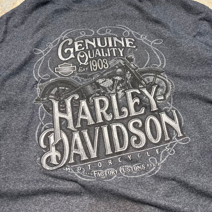 古着 Harley-Davidson  /ハーレー ダビッドソン / A SMOKY MOUNTAIN OUTPOST / テネシー州 モンロー郡 テリコ・プレインズ ストア / チェロハラ・スカイウェイ / ロングTシャツ / サイズXL相当