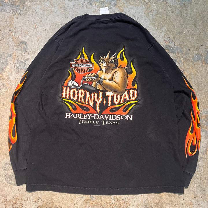 古着 Harley-Davidson/ハーレーダビッドソン/ プリントロングTシャツ/ サイズL