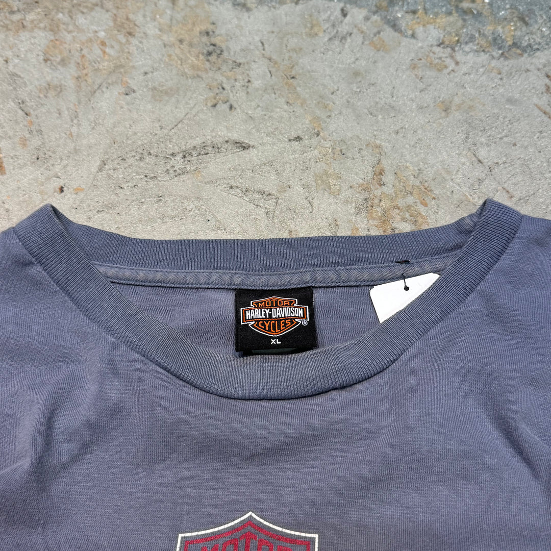 古着 USA製 Harley-Davidson/ハーレーダビッドソン/ プリントTシャツ/ サイズXL