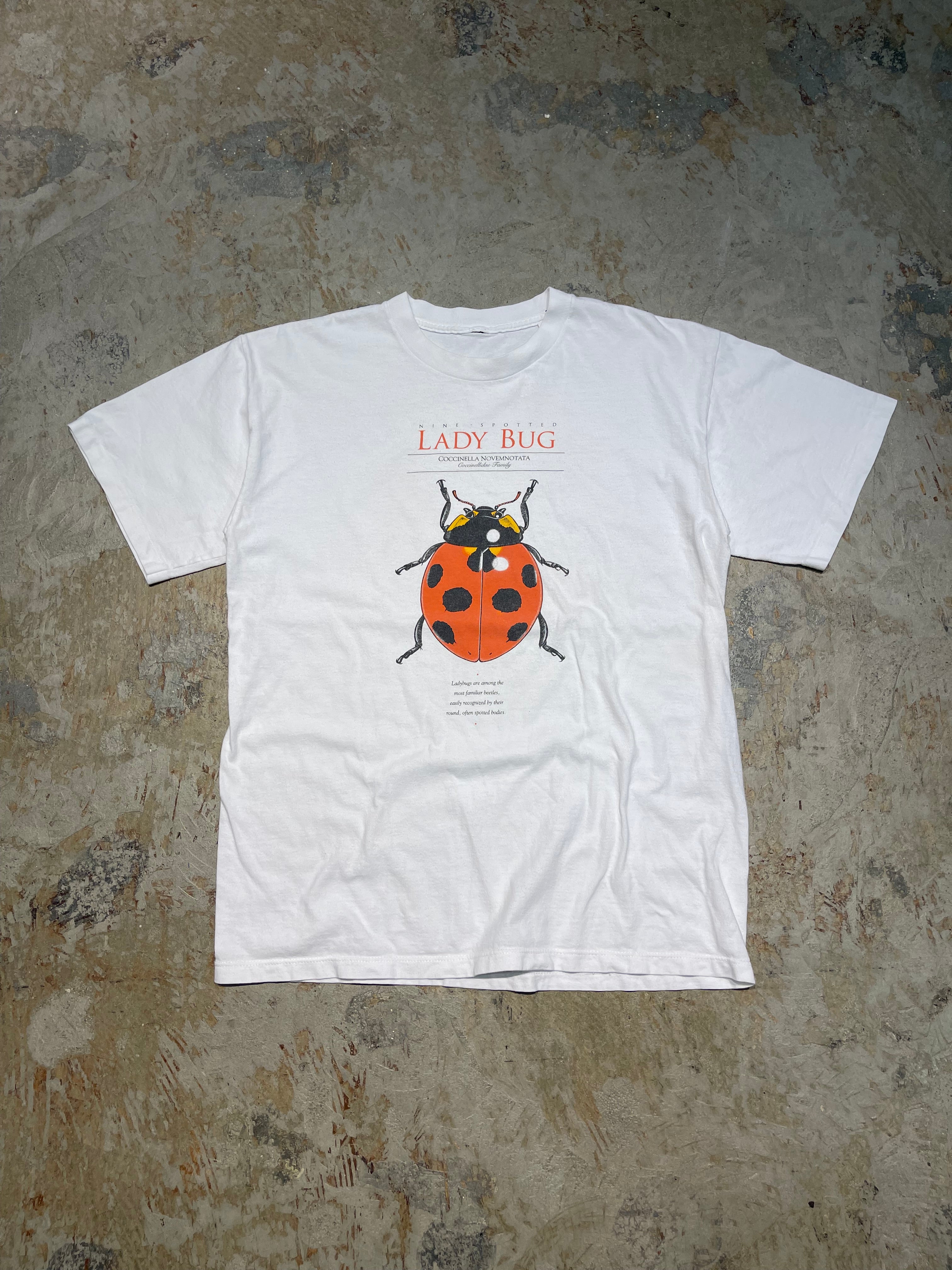 006FF9CE-3C1B-4240-8E29-