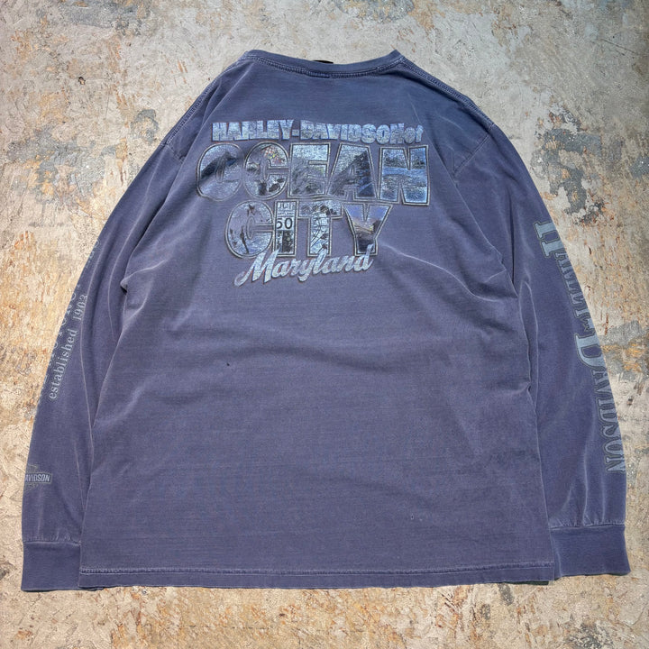 古着 Harley-Davidson/ハーレーダビッドソン/ プリントロングスリーブTシャツ/ サイズL