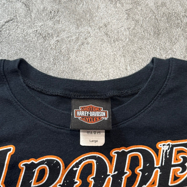 古着 USA製 Harley-Davidson ハーレーダビッドソン プリントTシャツ レディース Y2K サイズL