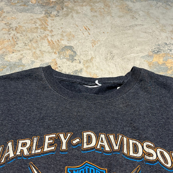 古着 Harley-Davidson/ハーレー ダビッドソン カリフォルニア州 カマリロ プリントTシャツ サイズXXXL相当