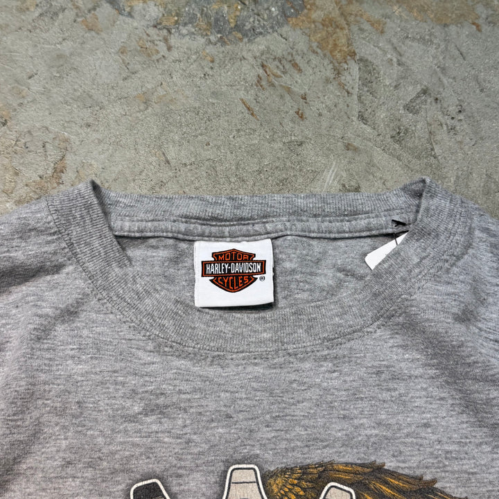 二手衣服Harley-Davidson/哈雷戴维森/印花T恤/尺寸L相当