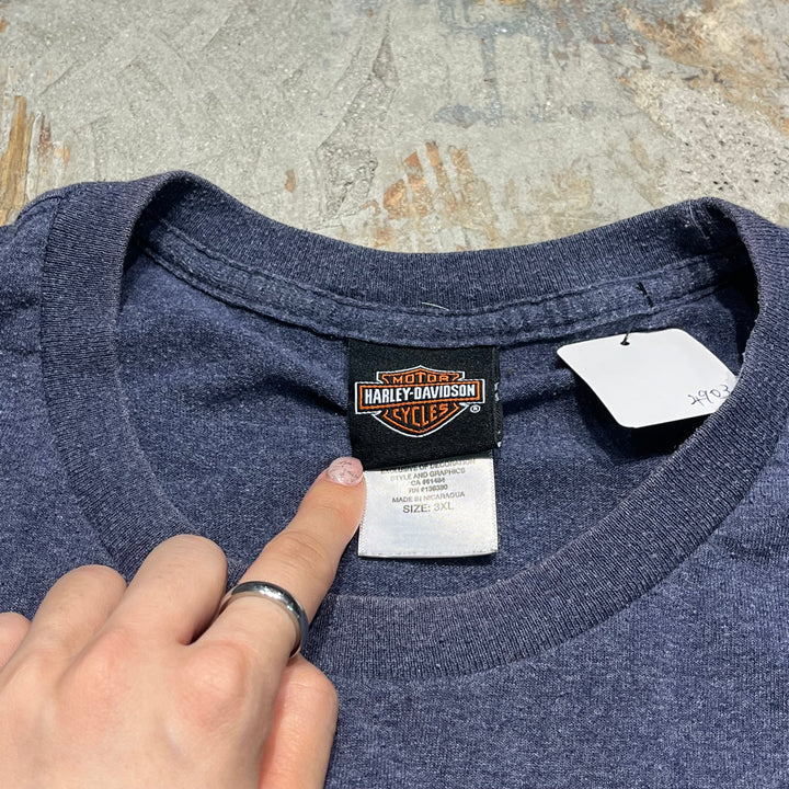 古着 Harley-Davidson/ハーレー ダビッドソン テキサス州 サン･ベニート /マッド ボア レストラン / プリントTシャツ サイズXXXL