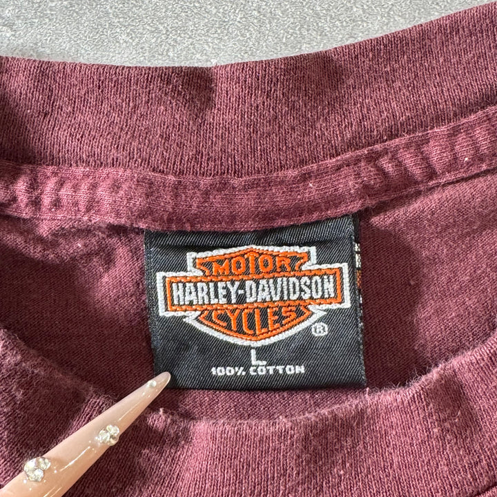 古着 USA製 Harley-Davidson ハーレーダビッドソン プリントTシャツ  シングルステッチ サイズL