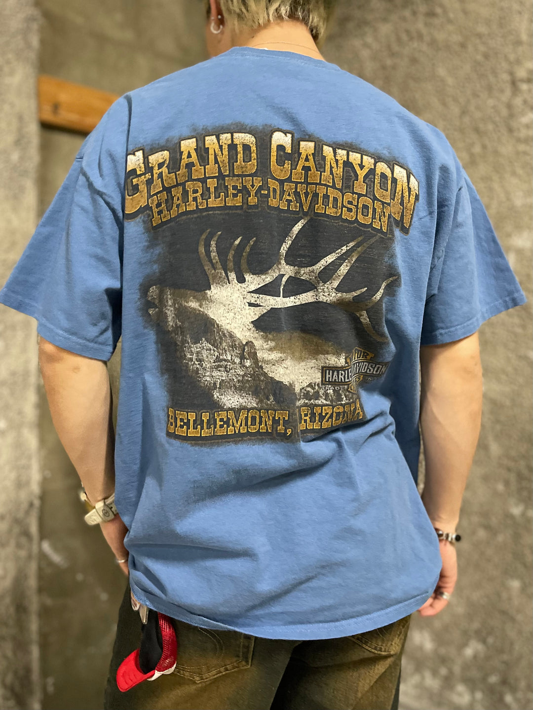 #735 19's Harley-Davidson/ハーレーダビッドソン Tee サイズXL