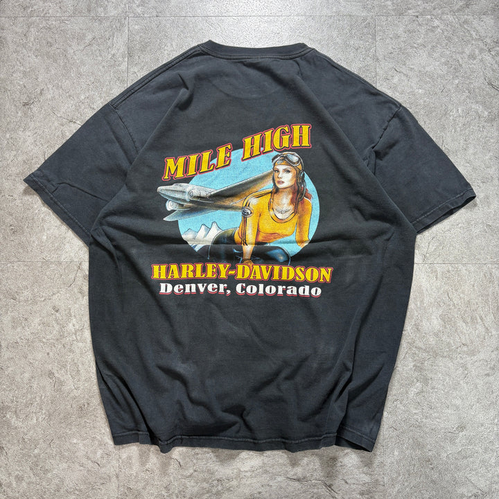 古着 USA製 Harley-Davidson ハーレーダビッドソン プリントTシャツ アメカジ サイズXL