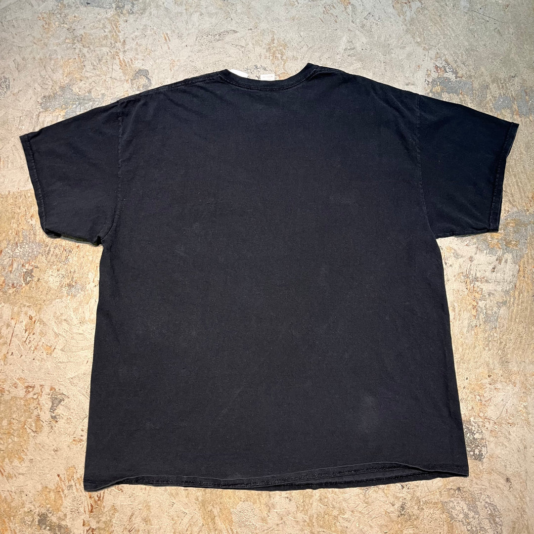 古着 USAVINTAGE/ プリントTシャツ/ サイズ2XL