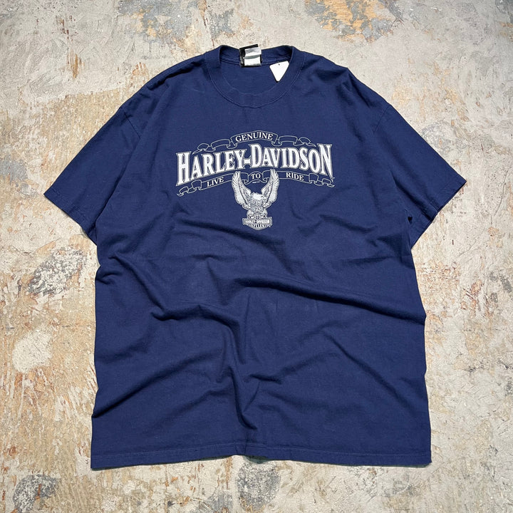 古着 Harley-Davidson/ハーレー ダビッドソン/ブードゥー教/オルレアン/ルイジアナ州/プリントTシャツ サイズXL