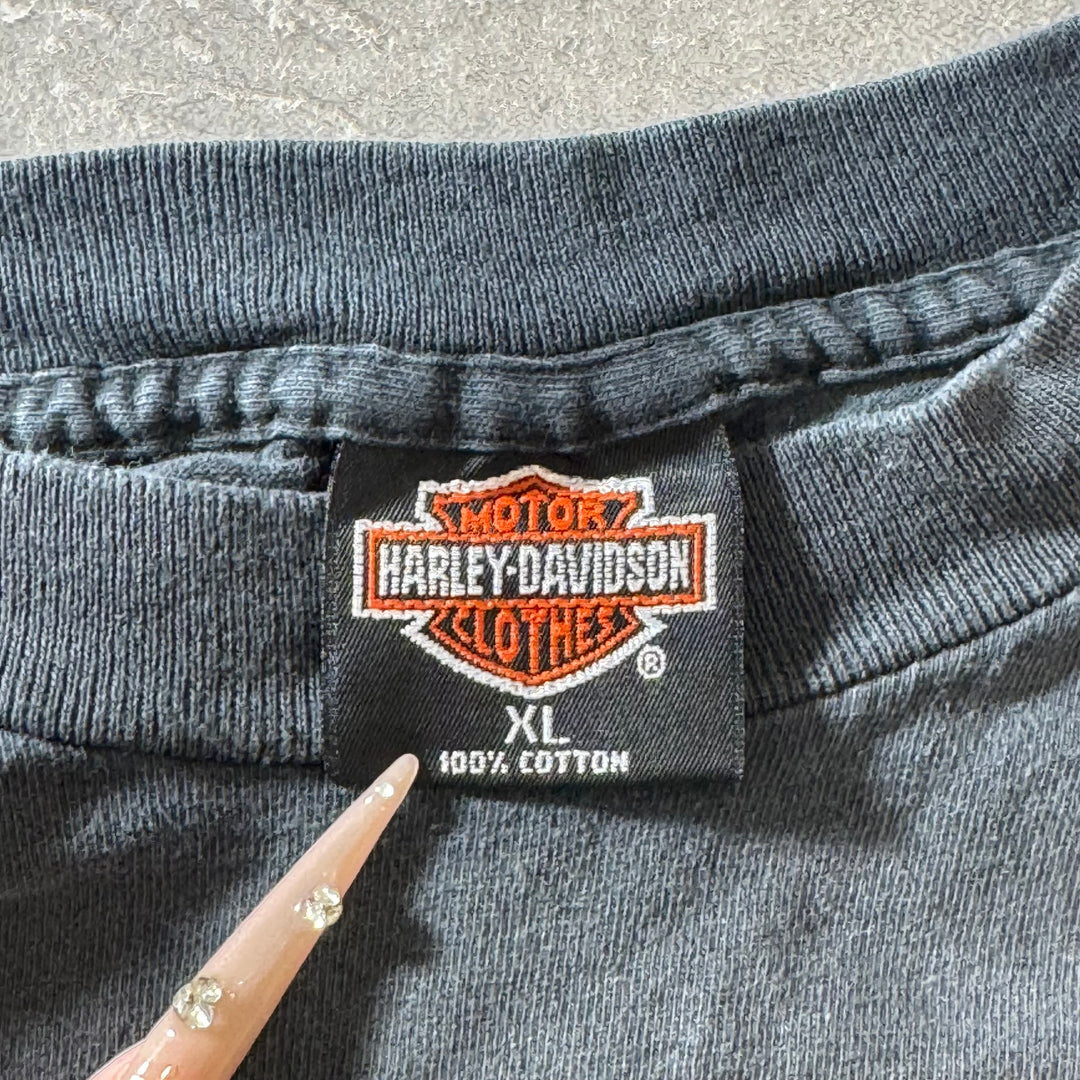古着 USA製 92’s  Harley-Davidson ハーレーダビッドソン プリントTシャツ  シングルステッチ サイズXL