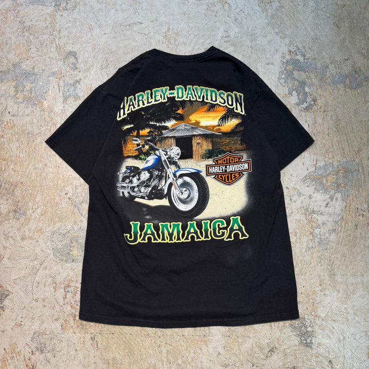古着 Harley-Davidson/ハーレーダビッドソン/ プリントTシャツ/ サイズL