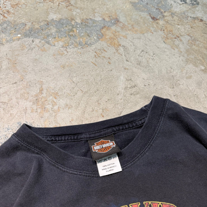 古着 Harley-Davidson/ハーレーダビッドソン/ プリントTシャツ/ サイズXL
