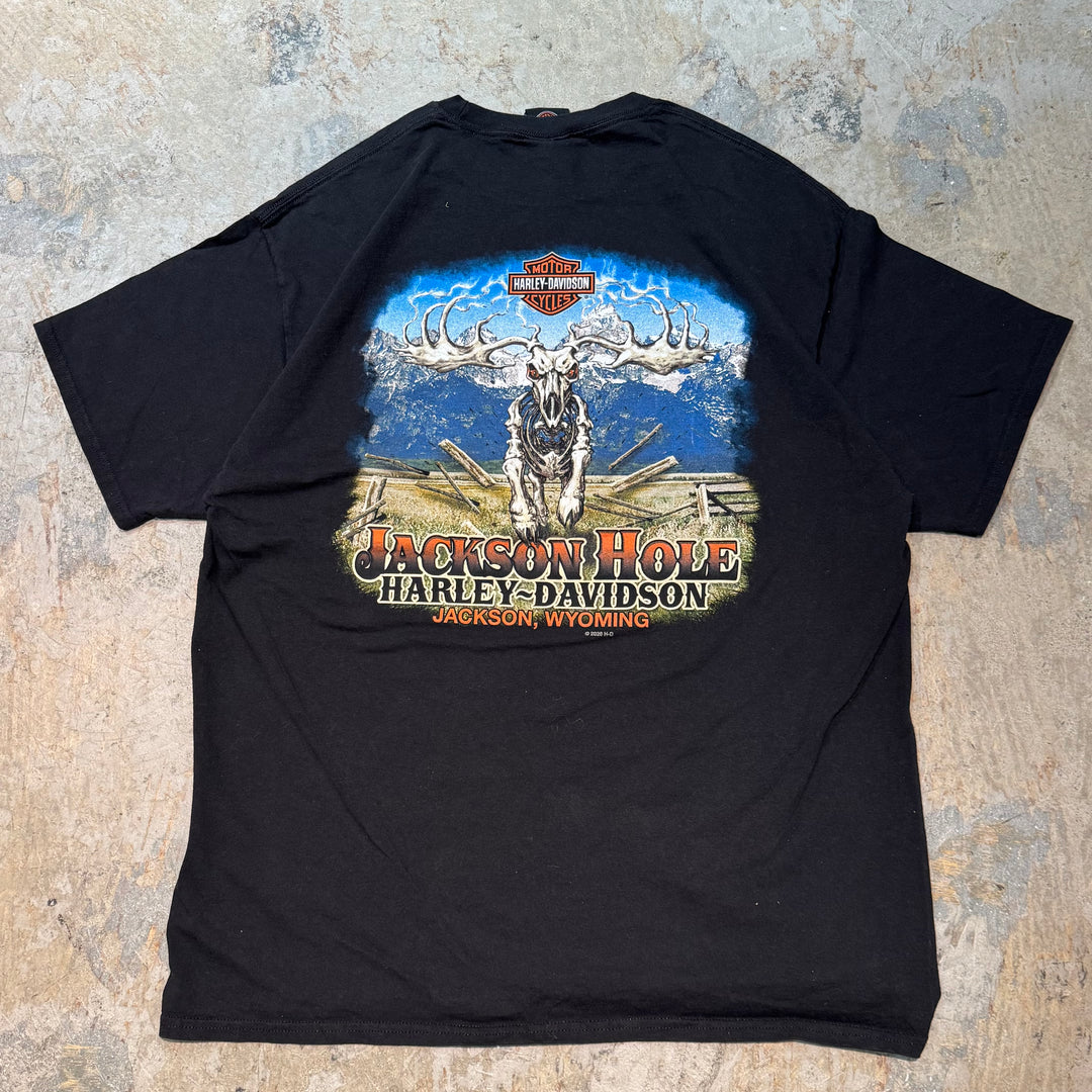 古着 Harley-Davidson/ハーレーダビッドソン/ プリントTシャツ/ サイズXL