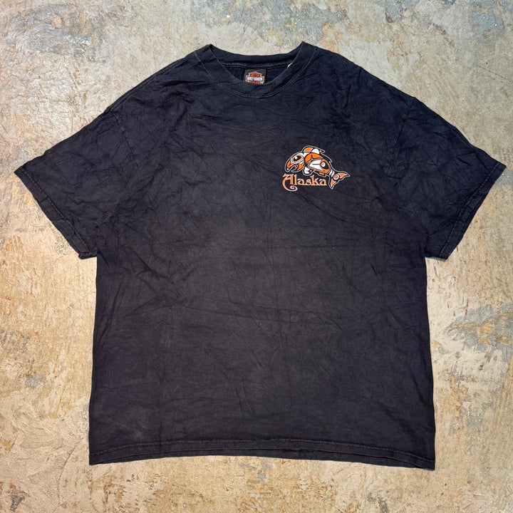 旧衣服Harley-Davidson/哈雷戴维森/印花T恤/尺码XL