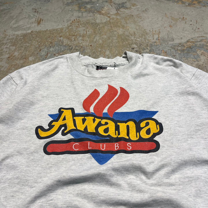 #4690 90's 古着 /フルーツオブザルーム/USA製/Awana CLUBS/ヴィンテージ シングルステッチ Tシャツ/企業系/サイズL