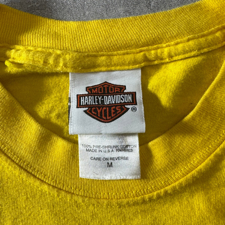 古着 USA製 00s y2k Harley-Davidson ハーレーダビッドソン ロングTシャツ ファイヤーパターン サイズM