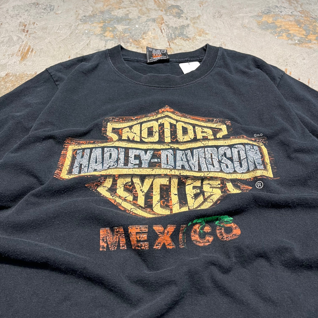 古着Harley-Davidson/ハーレー ダビッドソン/リビエラ･マヤ/メキシコ/プリントTシャツ サイズM相当