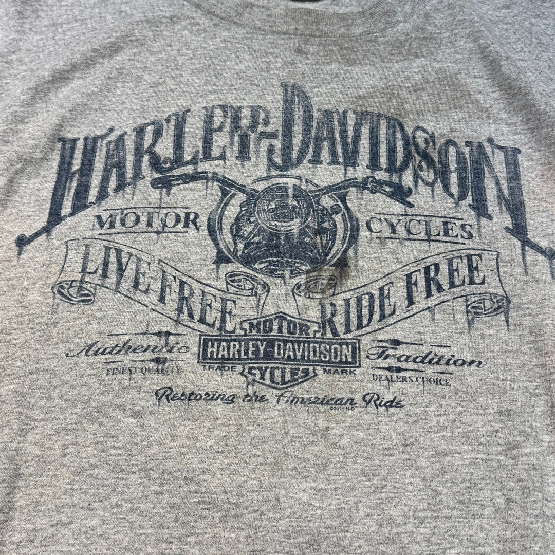 二手衣服Harley-Davidson/哈雷戴维森/印花T恤/尺寸L相当