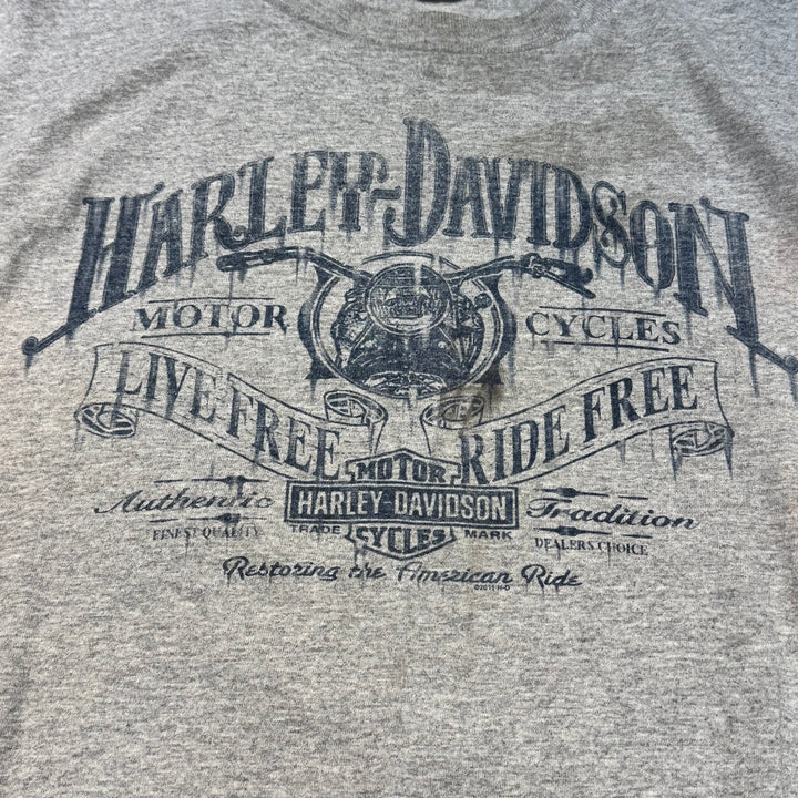 二手衣服Harley-Davidson/哈雷戴维森/印花T恤/尺寸L相当