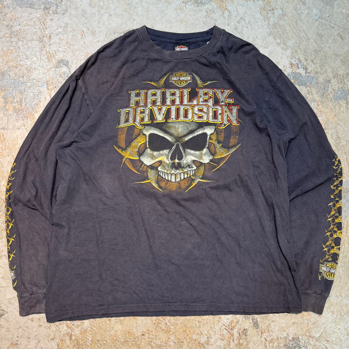 旧衣服Harley-Davidson/哈雷戴维森/长袖印花T恤/尺码XL