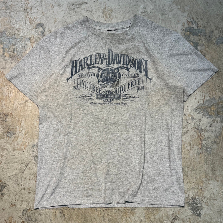 二手衣服Harley-Davidson/哈雷戴维森/印花T恤/尺寸L相当