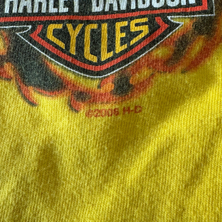 古着 USA製 00s y2k Harley-Davidson ハーレーダビッドソン ロングTシャツ ファイヤーパターン サイズM