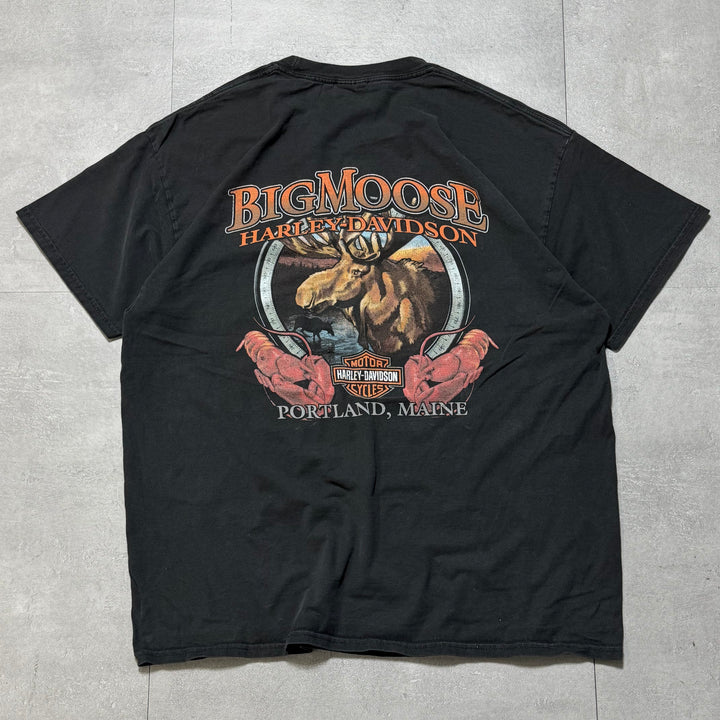 古着 Harley-Davidson/ハーレーダビッドソン/ プリントTシャツ/ サイズXL相当