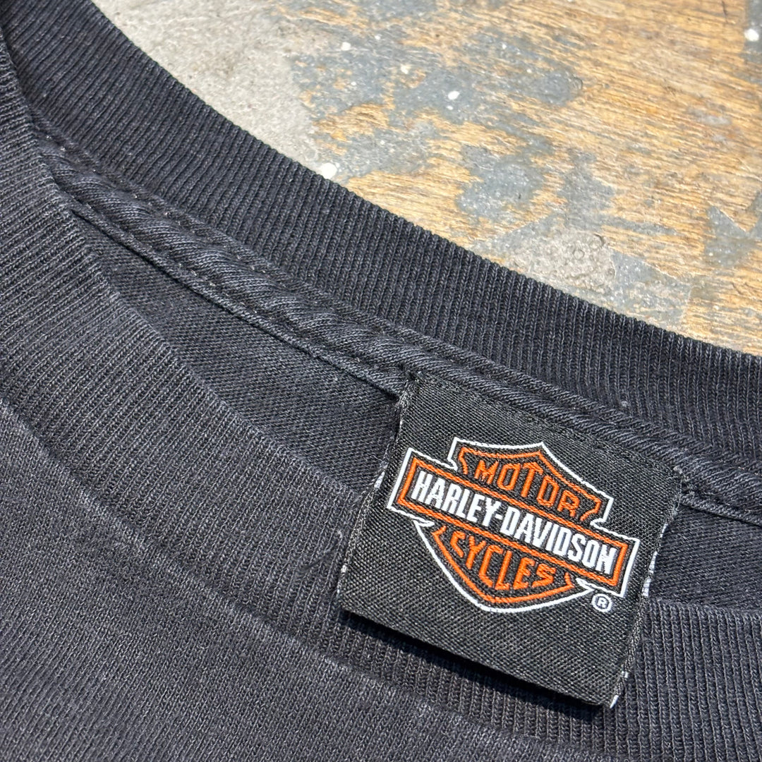 古着 Harley-Davidson/ハーレーダビッドソン/ プリントTシャツ/ サイズM